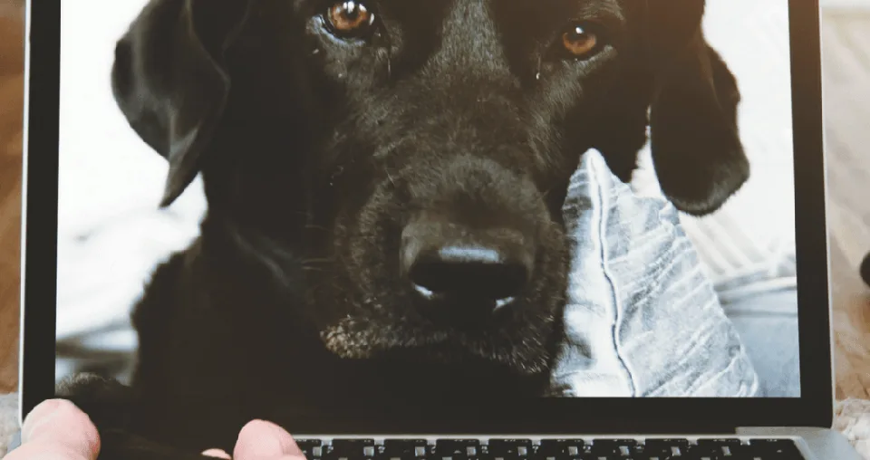 Personalizing the customer journey