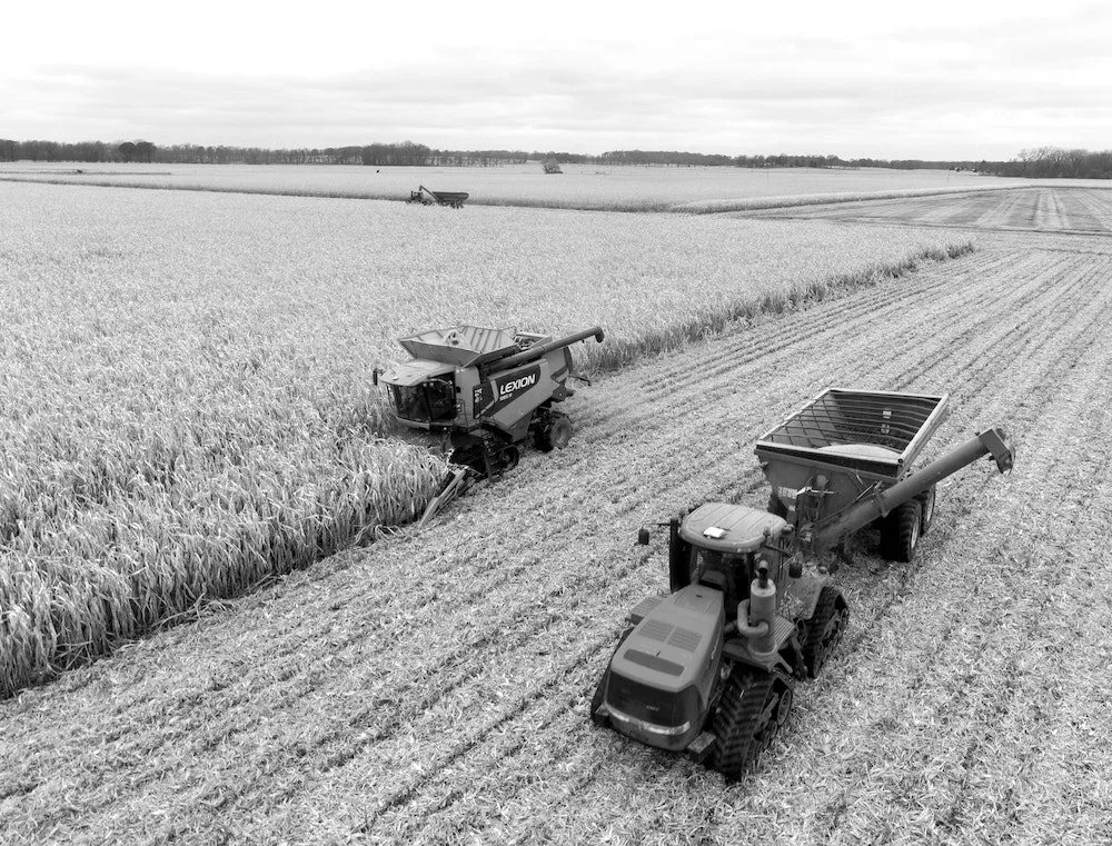 Row crop farmer standing in a soybean field