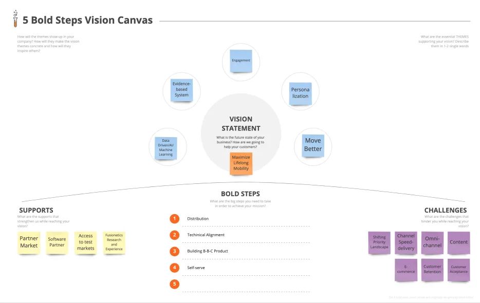5 Bold Steps Vision Canvas showing Fusionetics vision statement, themes, bold steps, supports, and challenges