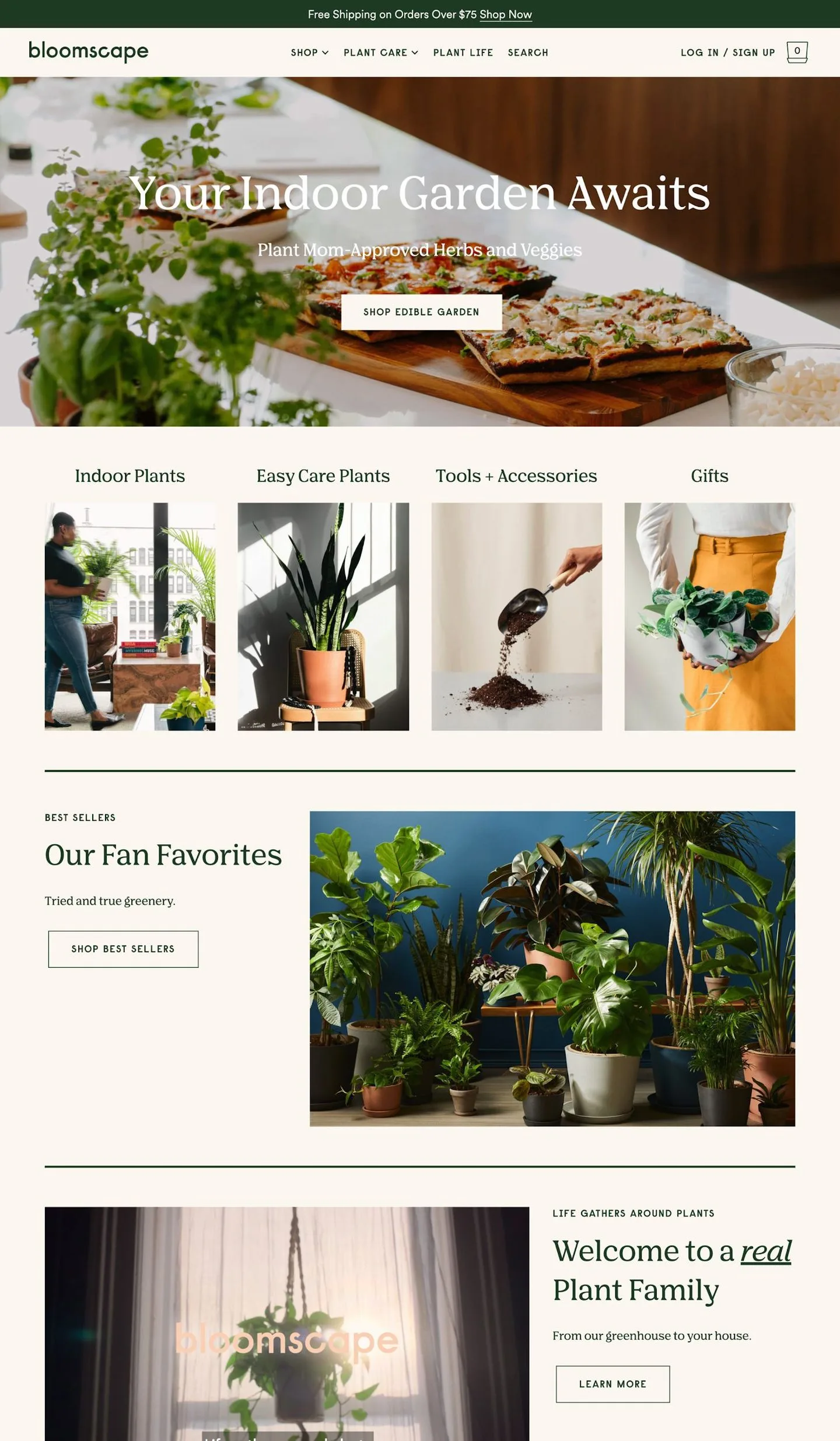 Mailchimp Creative Assistant interface