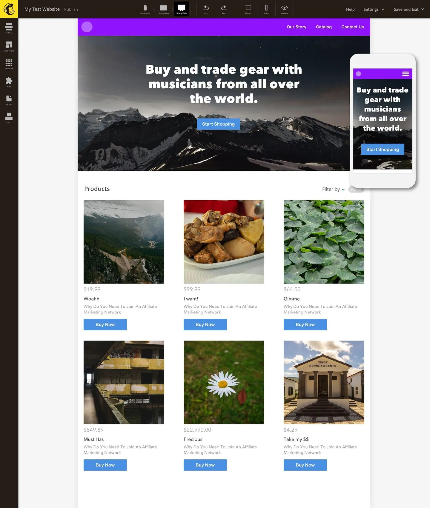 Mailchimp microsites and website builder