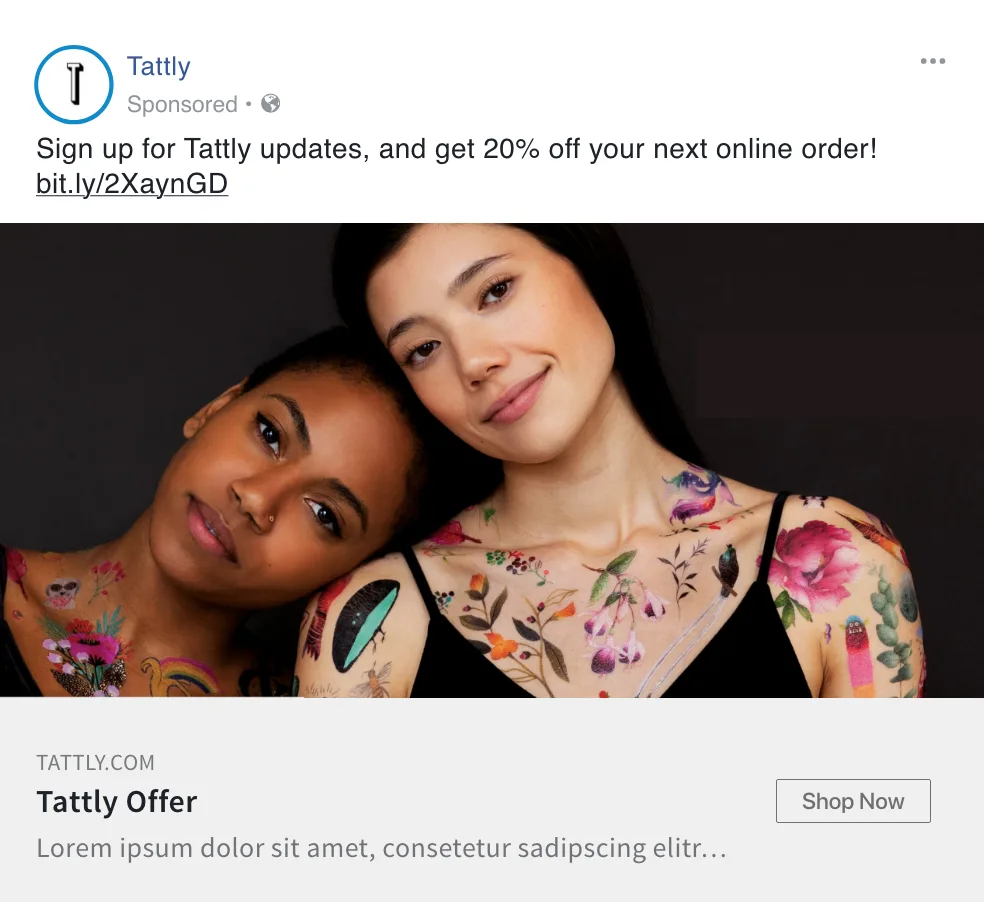 AI-generated Facebook ad campaign with contextual product imagery and marketing copy extracted from the brand's website