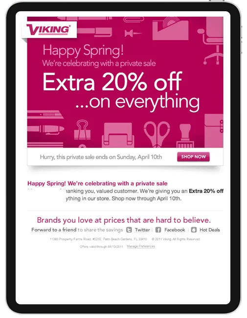 Viking email promotion — conversion optimization example