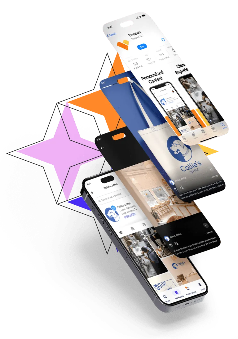 Tinyspark fan experience mobile app screenshot