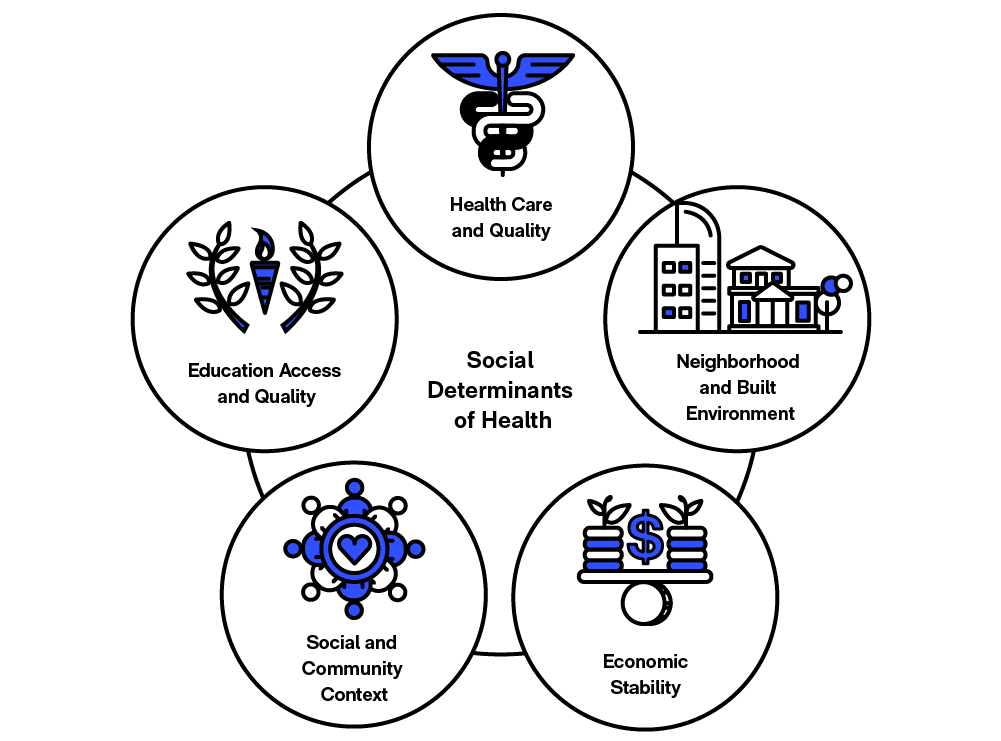 The World Health Organization's Social Determinants of Health